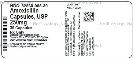 Amoxicillin Capsule [Northwind Health Company, Llc]