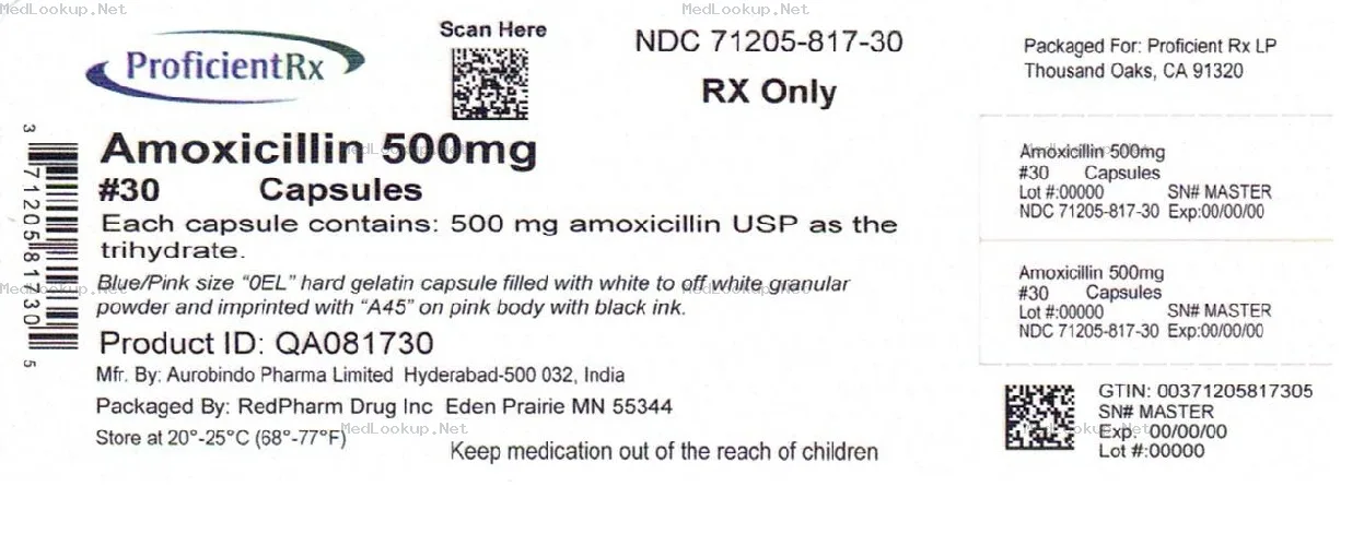 Amoxicillin Capsule [Proficient Rx Lp]