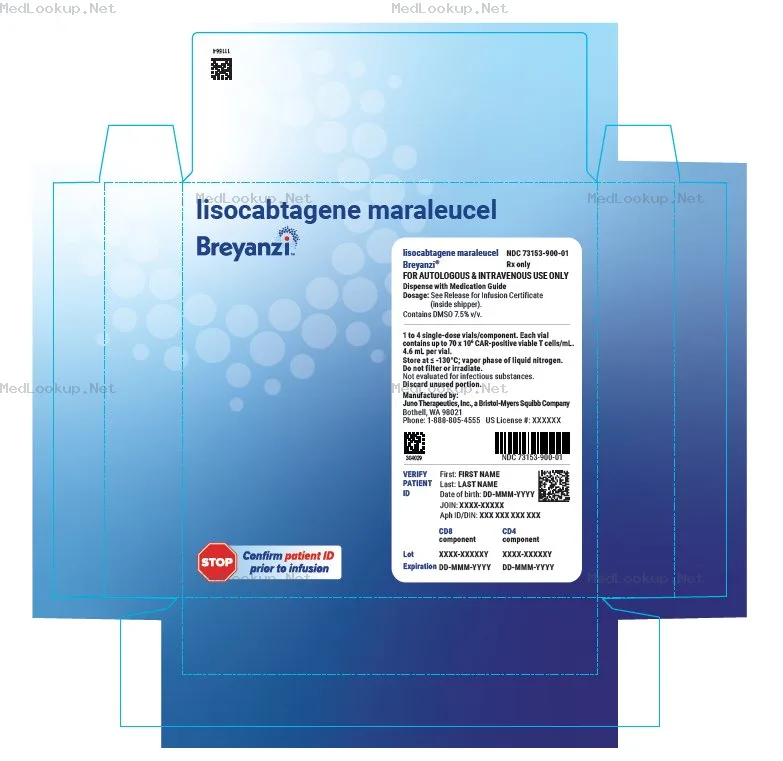 Breyanzi kit Kit